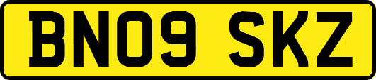 BN09SKZ