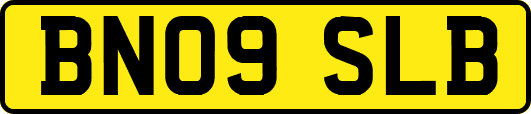 BN09SLB