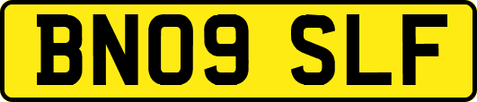 BN09SLF