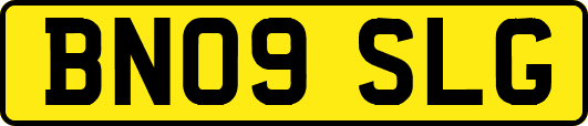 BN09SLG