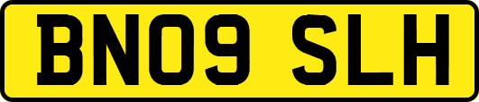 BN09SLH