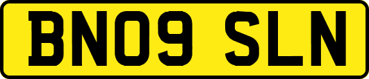 BN09SLN