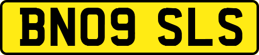 BN09SLS