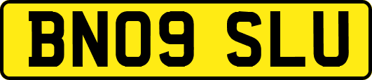 BN09SLU