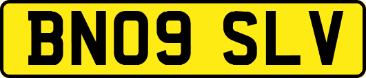 BN09SLV