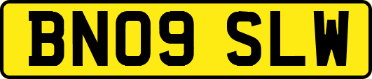 BN09SLW
