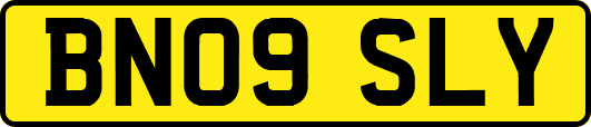 BN09SLY
