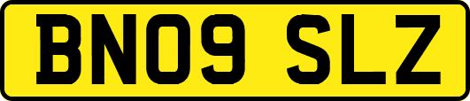 BN09SLZ