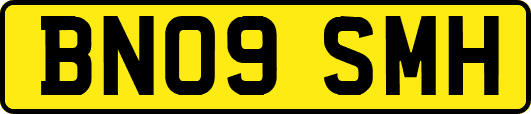 BN09SMH