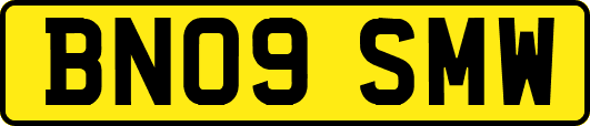 BN09SMW