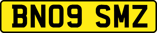 BN09SMZ