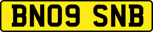 BN09SNB