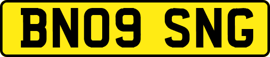 BN09SNG