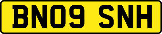 BN09SNH