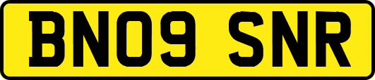 BN09SNR