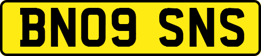 BN09SNS