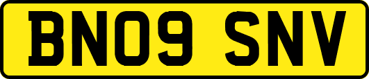 BN09SNV