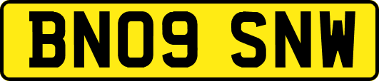BN09SNW