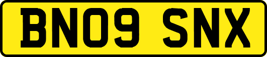 BN09SNX