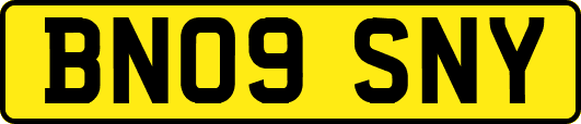 BN09SNY