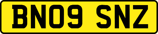 BN09SNZ