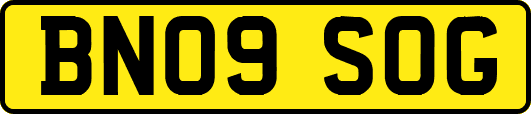 BN09SOG