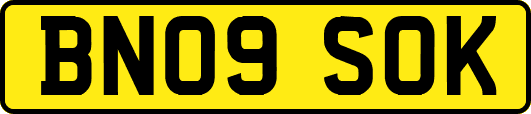 BN09SOK