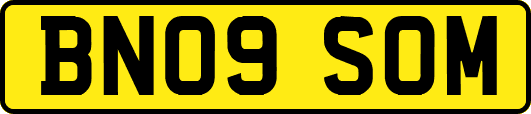 BN09SOM