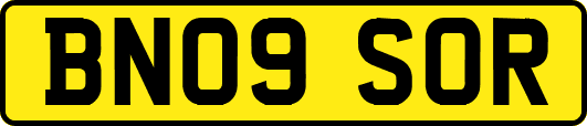 BN09SOR