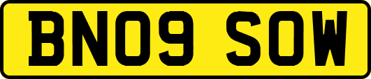 BN09SOW