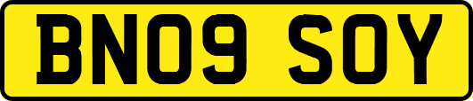 BN09SOY
