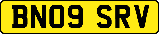 BN09SRV