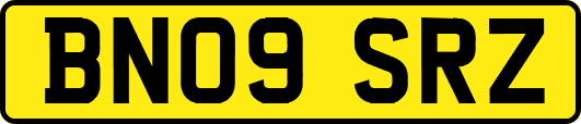 BN09SRZ