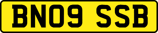 BN09SSB