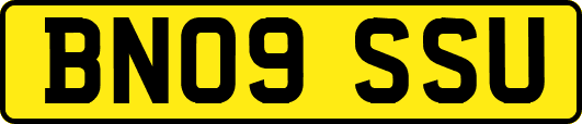 BN09SSU