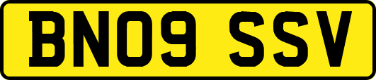 BN09SSV