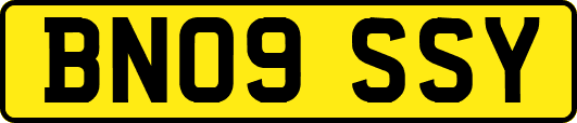 BN09SSY