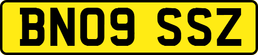 BN09SSZ