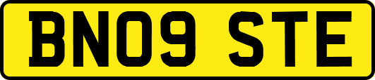 BN09STE