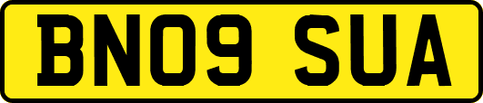 BN09SUA