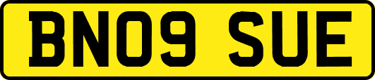 BN09SUE