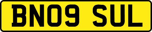 BN09SUL