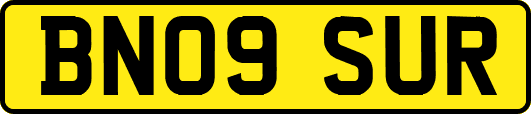 BN09SUR