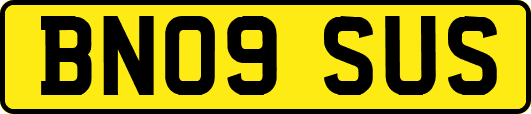 BN09SUS