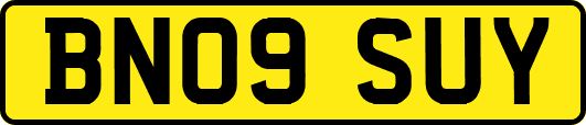 BN09SUY
