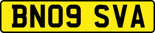 BN09SVA