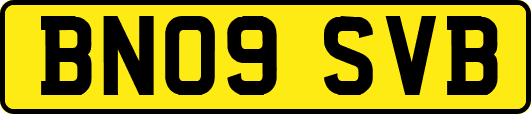 BN09SVB