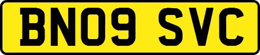 BN09SVC