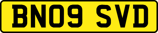 BN09SVD
