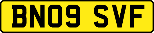 BN09SVF